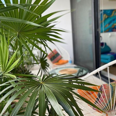 Family Apartments Near Beach Polo88 普拉亚卡门 外观 照片